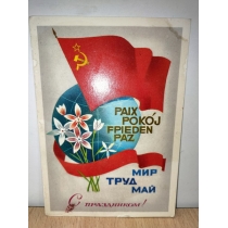 Открытка СССР 1981 год ( 14.7 на 10.5 см) 
